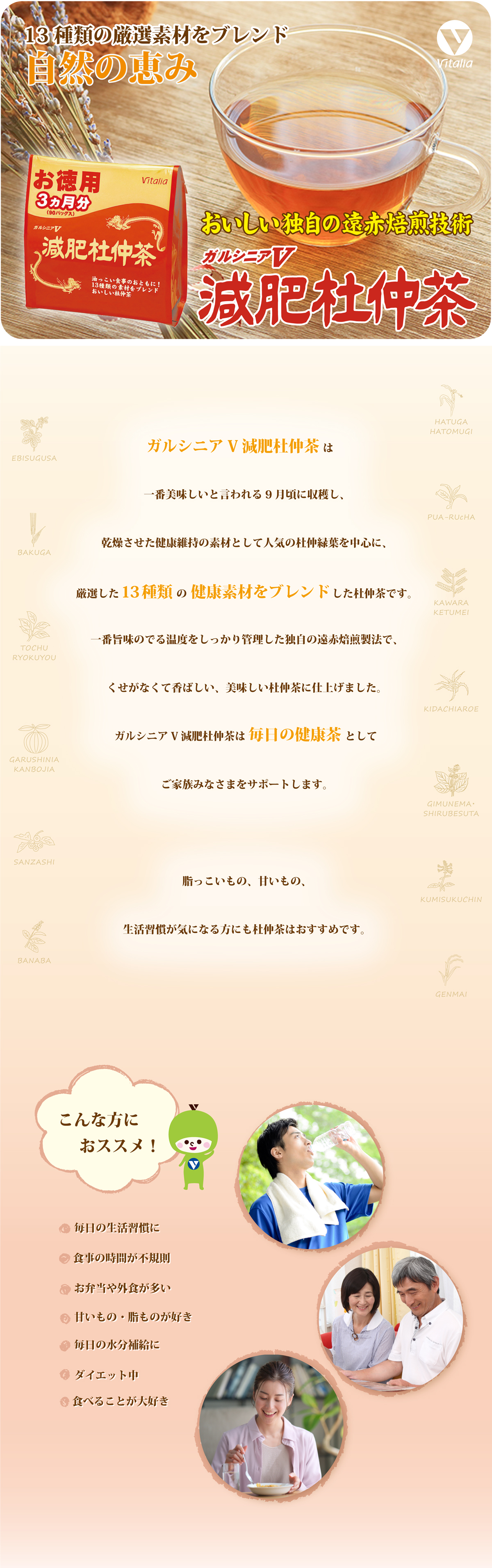 ガルシニアＶ減肥杜仲茶