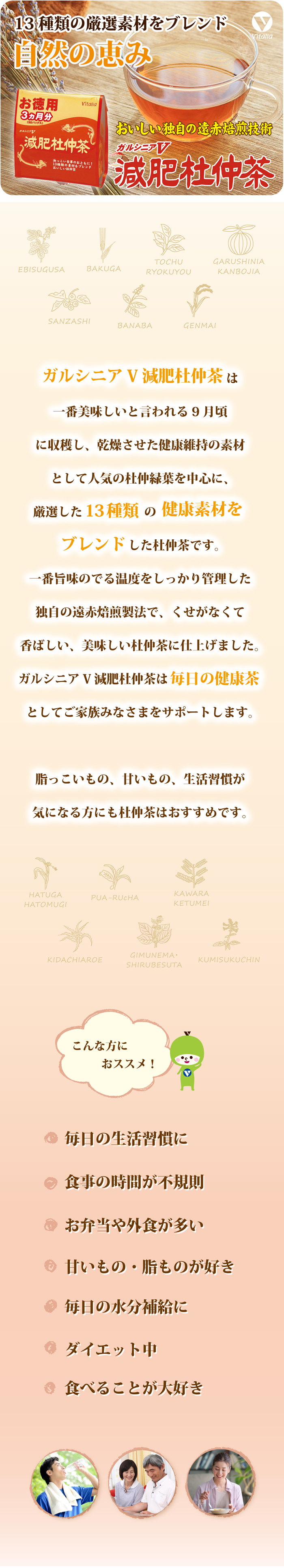 ガルシニアＶ減肥杜仲茶