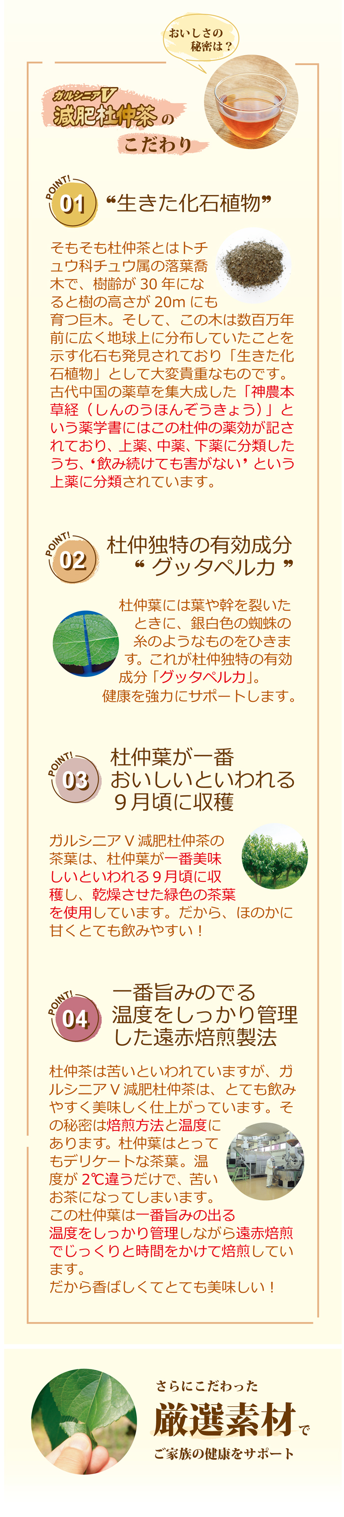 ガルシニアＶ減肥杜仲茶